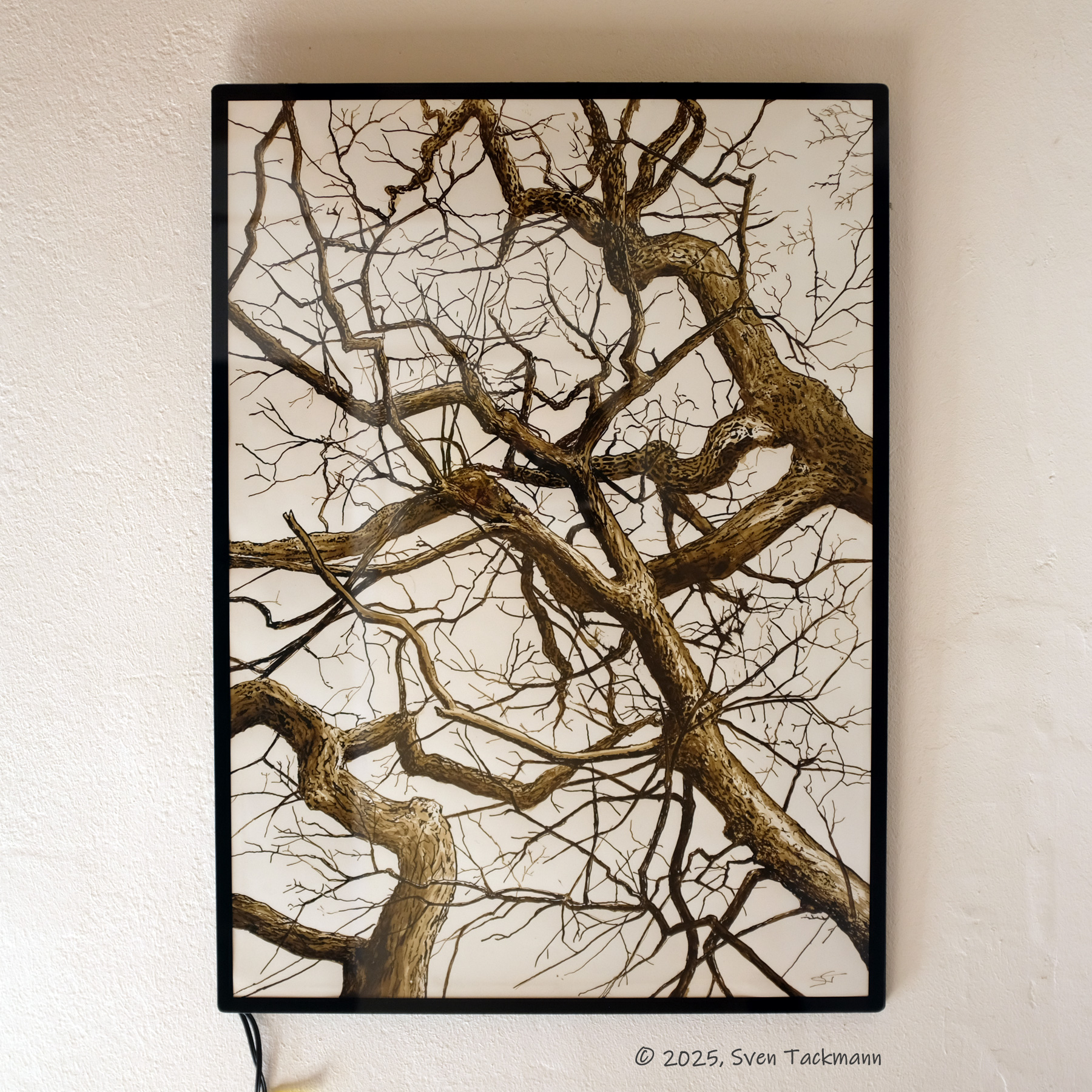 Leuchtkunst TREETOP I, Vordergrund, 2025, Sven Tackmann