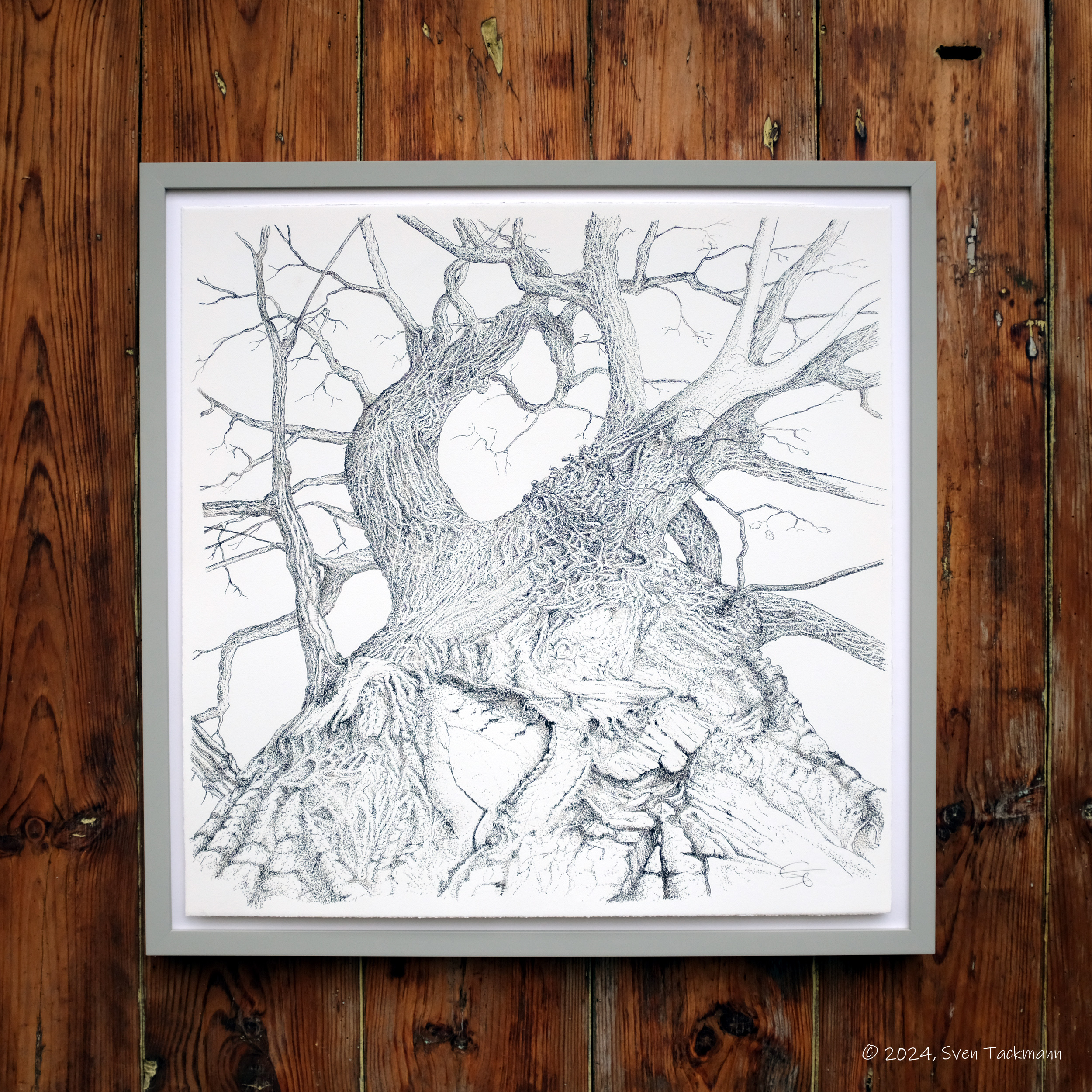 Tuschzeichnung 1000 YEARS of Growth mit Rahmen Tuschzeichnung 1000 YEARS of Growth mit Rahmen, Sven Tackmann